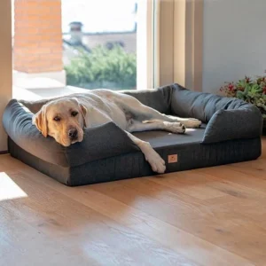 lit orthopedique chien