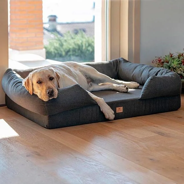 lit orthopedique chien