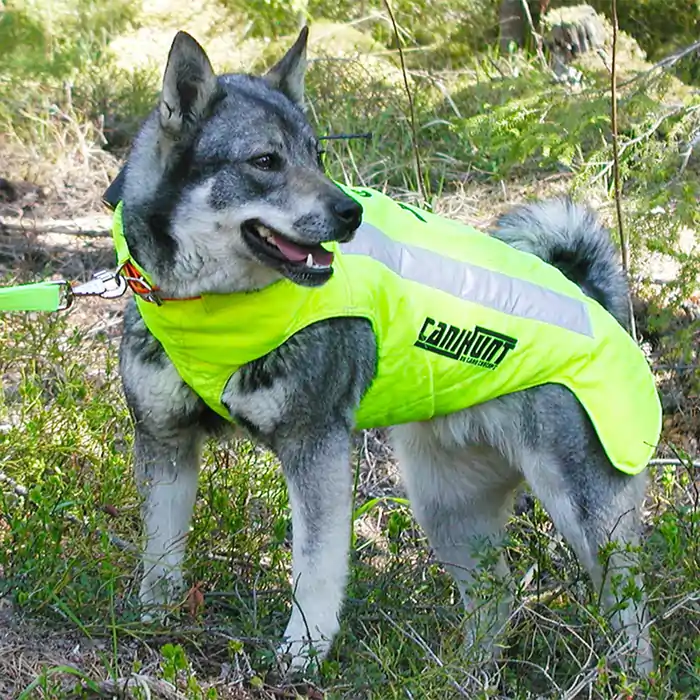 gilet protecto pro cano